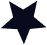 Star icon